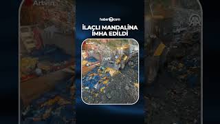 Sarp Sınır Kapısında 6 Ton Mandalina Imha Edildi Zirai Ilaç Kalıntısı Tespit Edildi