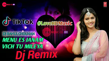 Menu Es Janam Vich Tu Mileya Dj Remix | New TikTok Viral Dj Remix Song 202O | DJ Killer Remix SONG