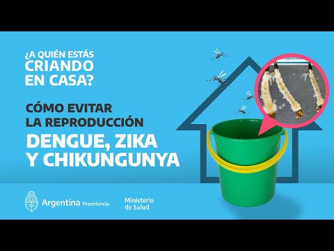 Vídeo: Como evitar a dengue no México