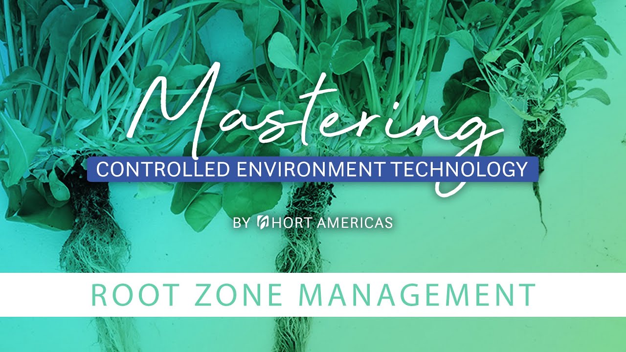Mastering CEA Management: Root Zone Environment - YouTube