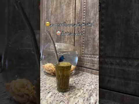 كيفك ع فراقي بس بالحومصي ستوريات متة