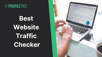 Best Website Traffic Checker | Build a Website | Website Traffic | Business Website
