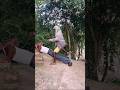 my hourse 🤣🤣🤣🤣😀🤣 #funnyvideo #comedy