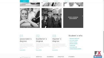 Phoenix WordPress Theme TMT | Free Template  Raeburn Cavan