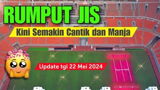 SEMAKIN BERPOLA🌿🌿🌿RUMPUT JIS SEMAKIN MANJA MENUJU MINI TURNAMEN INTERNASIONAL . UPDATE 22-5-2024