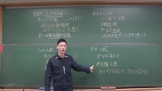 【地学基礎】古生代の変遷(シルル紀・デボン紀)