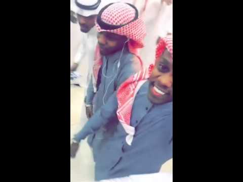 فرقه ميوزك