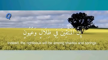 إن المتقين في ظلال وعيون | القران الكريم