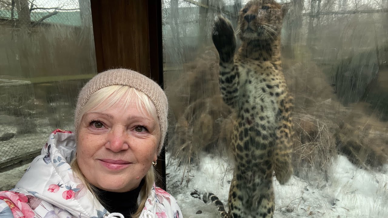 Наш зоопарк, який дивує! Прогулянка серед щасливих тварин 🦁🐒 6.03.2026