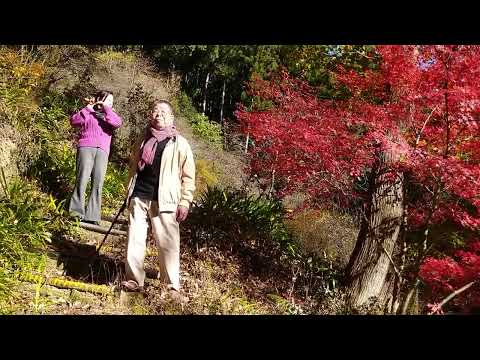 民謡 小沢千月 - YouTube
