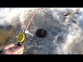 Зимняя рыбалка на Псковском озере #1