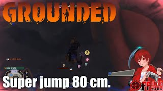 Super jump in grounded (80cm)