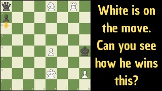 There is a clever win for white here