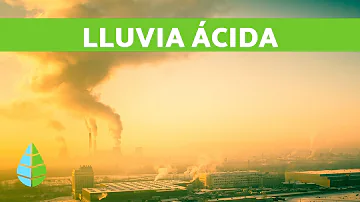 ¿Qué causa la lluvia alcalina?