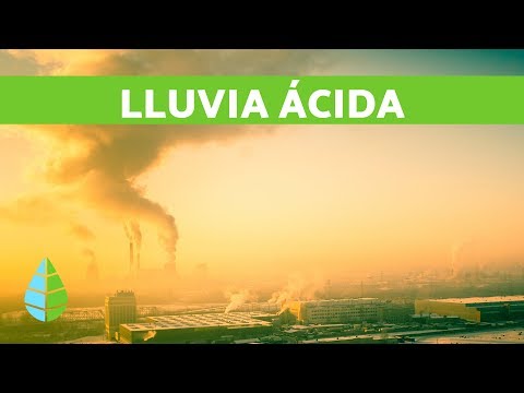 Video: Cómo se produce la lluvia artificial: características, consecuencias y curiosidades