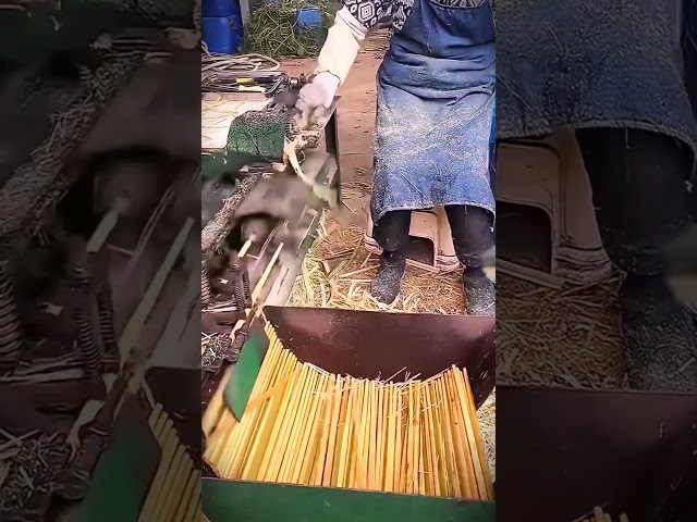 Advanced bamboo cutting machine quickly #shorts