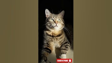 Snake Attack On Cat 🙀 #remix #trend#foryou #viralshorts #animals #loveanimals #music