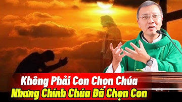 Nếu Bạn Đang Nghe Bài Giảng Này — Có Lẽ Chúa Muốn Nói Gì Đó Với Bạn | Bài Giảng Sâu Sắc Của Cha Toại