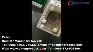 Automatic Small Size Onion Root and Tail Cutting Machine for Lithuania Customer