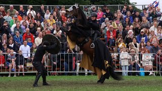 Concour Hippique 2025 - Een Traditievolle Belevenis Voor De Paardenliefhebber Die Blijft Vernieuwen.