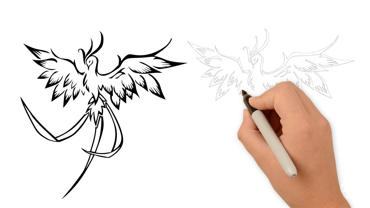 part of my phoenix drawings  Phoenix drawing Phoenix bird art Bird  drawings