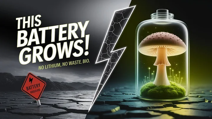 Fungus Batteries: The Future of Eco-Friendly Energy Storage!