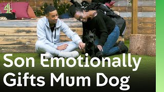 Son Emotionally Gifts Mum Rescue Dog After Leaving Home The Dog House