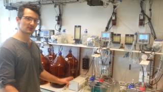 Cyrus Mallon introduce the Chemostat System