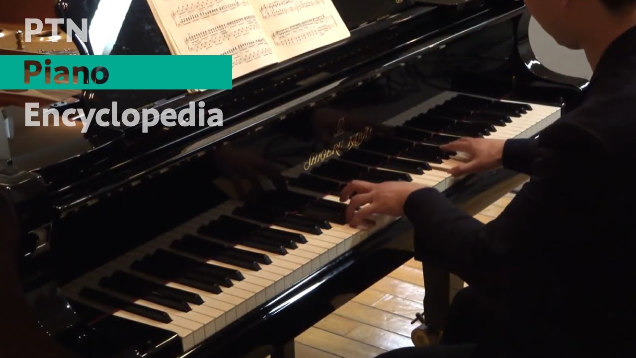 Nakada Yuichiro / Burgmüller - 18 Etudes 12. Le Réveil dans les