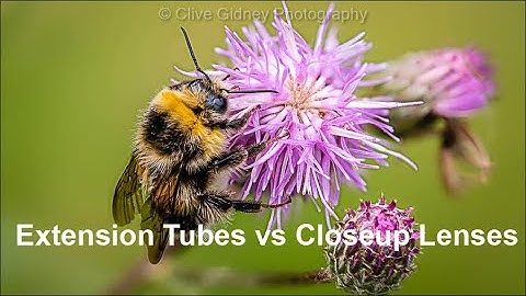 Extension Tubes vs Closeup Lenses
