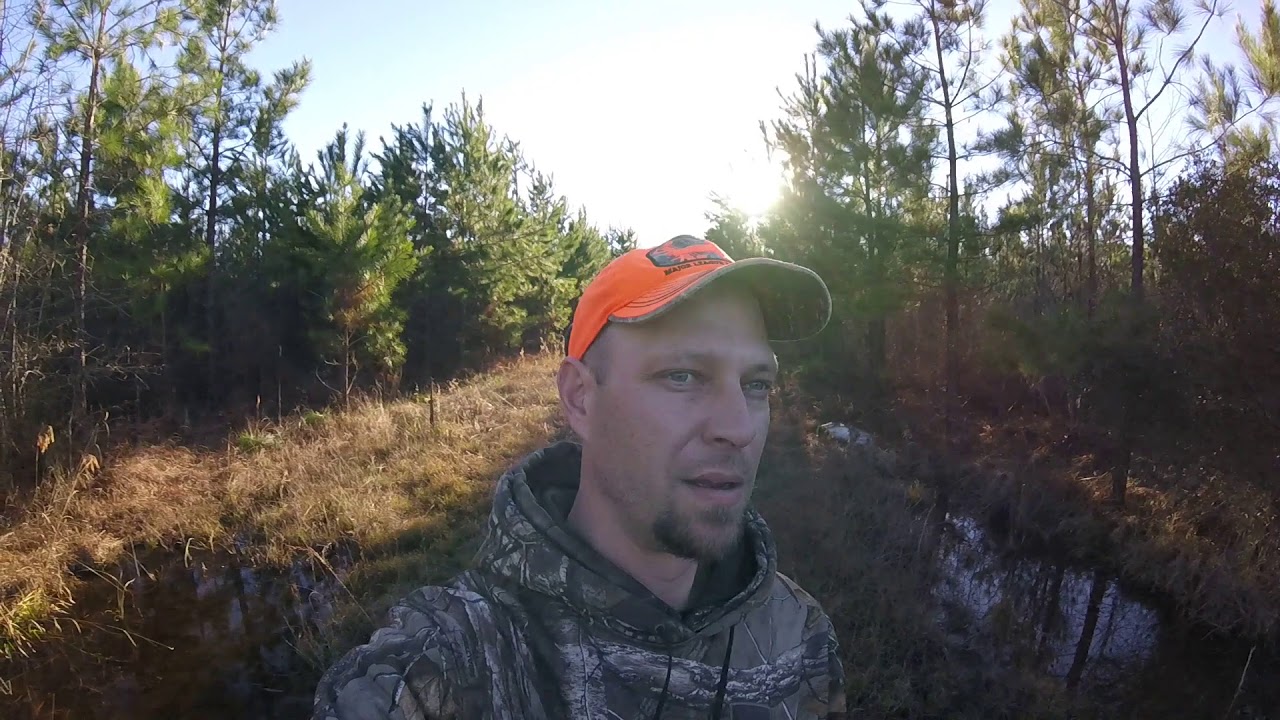 Deer hunting on the last day! SUSSEX VIRGINIA YouTube