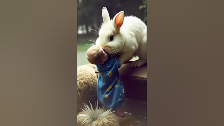 The child was falling into the water below  The rabbit, with great intelligence and cunning, immedia