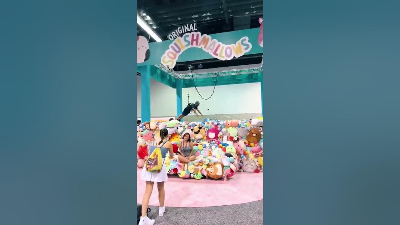 Human squishmallow claw machine YouTube