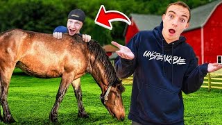 HE NEVER FOUND ME! HIDE & SEEK WITH ANIMALS!