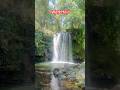 Epic Kaladungi Waterfall Adventure Will Leave You Speechless (NEW 2024)