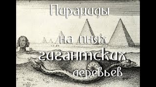 Пирамиды и звезды / Пирамиды на пнях гигантских деревьев