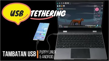 Puppy Linux: USB Tethering
