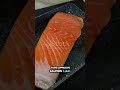fakta menarik daging salmon #faktaunikmenarik #dagingikan #salmon