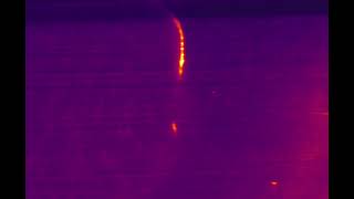 openUC2 - Lightsheet of cleared Brain Tissue