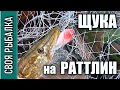 Щука на раттлин осенью. Рыбалка на Волге по заливам.