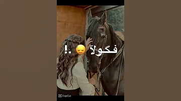 المهره بتعرف خيالا 
