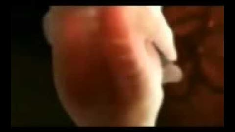 مراحل تكوين الجنين في بطن أمه مع تلاوة خاشعة من سورة المؤمنين للشيخ محمد الليثي رحمه الله