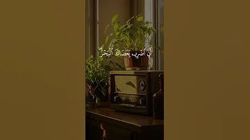 المعجزة العظيمة كيف انشق البحر أمام موسى عليه السلام الشيخ عبد الباسط عبد الصمد 