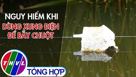 Nguy hiểm khi dùng xung điện để bẫy chuột