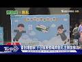 帶孩排嘸「小空服」! 家長控遭嗆「開罵+闖展場」｜TVBS新聞 @TVBSNEWS01