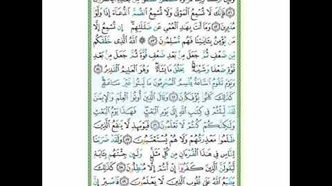 #سورة الروم#الأيات(55-65)تلاوة وأحكام آ. سمية#قليل دائم خير