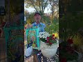 Winter container garden that lasts into spring 🌿❄️ Easy, colorful, and holiday-ready! #florida