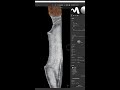 Speed Up Knife Texturing: Ornament Path Paint Tool &amp; Substance Painter Wrap Tools Demo #3DArt