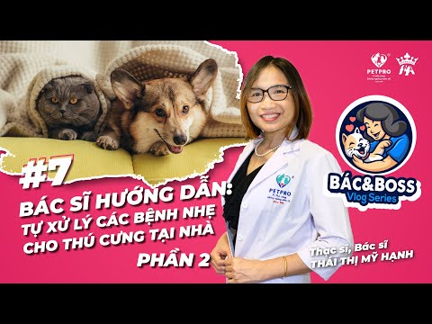 Video: Lý Do, Tiếng Kêu Và Cách Thức Của Việc Mổ Bụng Cho Thú Cưng Của Bạn