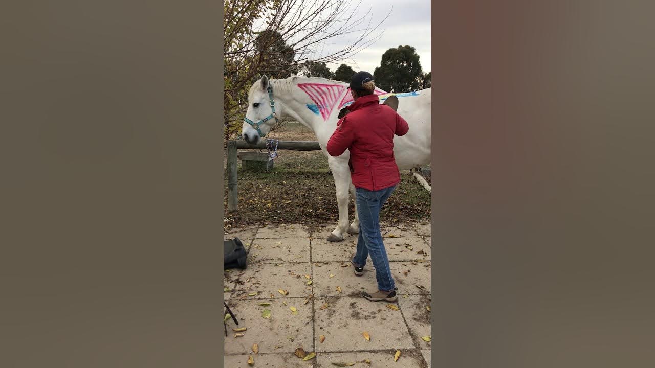Checking Your Saddle's Flocking it's Really Important! YouTube